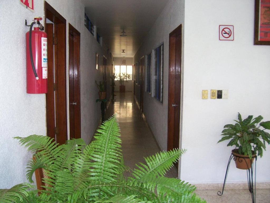 Hotel Acuario Catemaco Exterior foto